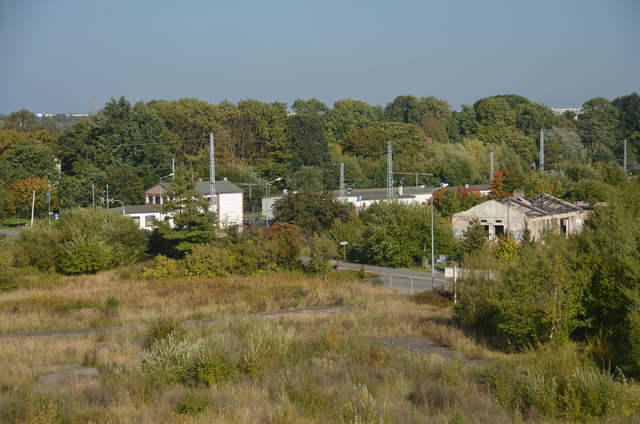 DSC 1011