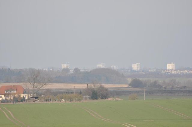 DSC_1362