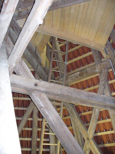 P1030590