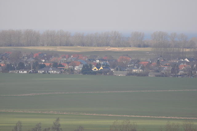 DSC_1822