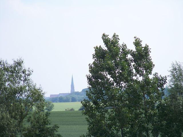 Schweriner Dom fern