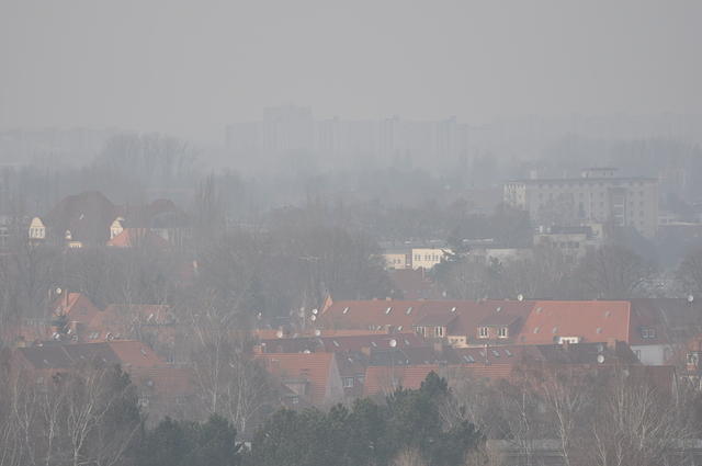 DSC_1490