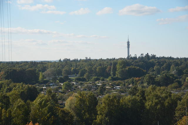 DSC 0999