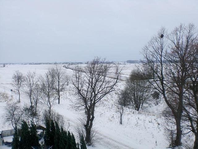 Blick in Richtung Kavelstorf